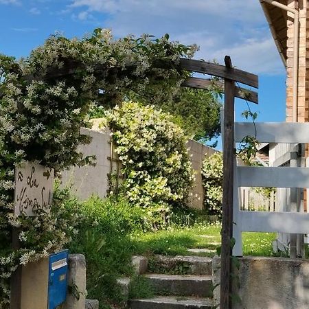 La Maison Du Saule Pompignac Esterno foto